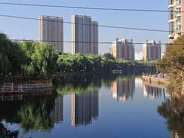 澳门与香港，免费资源的魅力与精准服务的力量（2005年）